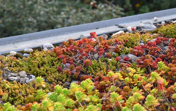 the cost of Bradwall Green green roof installation