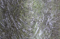 Bradwall Green fibreglass roof work